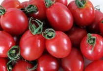 千禧果和圣女果的区别（ 谁的营养价值更高）