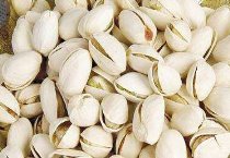 甘肃永登（一株蒜苗中蕴藏的致富经）