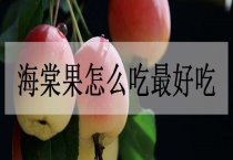 黑木耳雾灌可高产