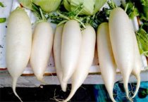 白萝卜和胡萝卜能一起吃吗