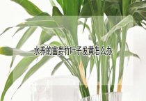河南省养兔生产