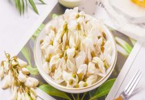 饲养沙摩艾特犬