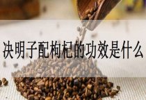 加强苗床后期管理 提高棉花移栽质量