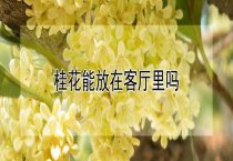 怎样养好中国林蛙 怎样养好中国林蛙