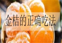 枸杞扦插育苗新技术要点