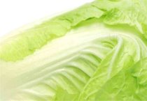 棉花留种注意啥