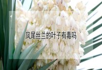 养家兔不可多喂粮