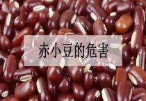5℃郁金香鳞茎的栽培要求