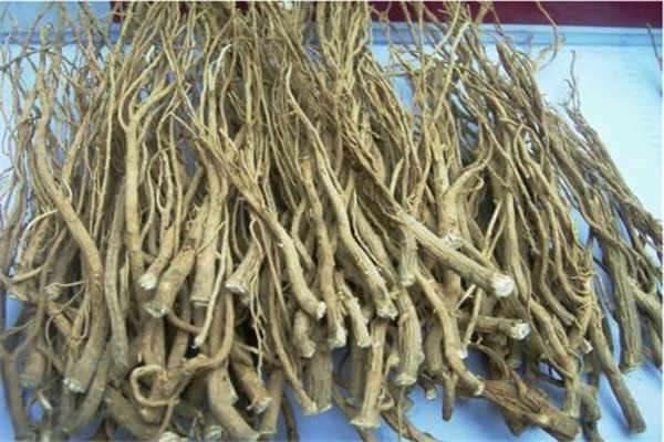 香附的副作用和毒性 禁忌有哪些？