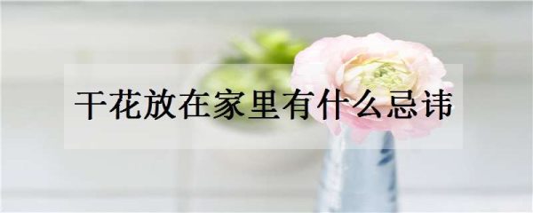 干花放在家里有什么忌讳 适合放在哪里