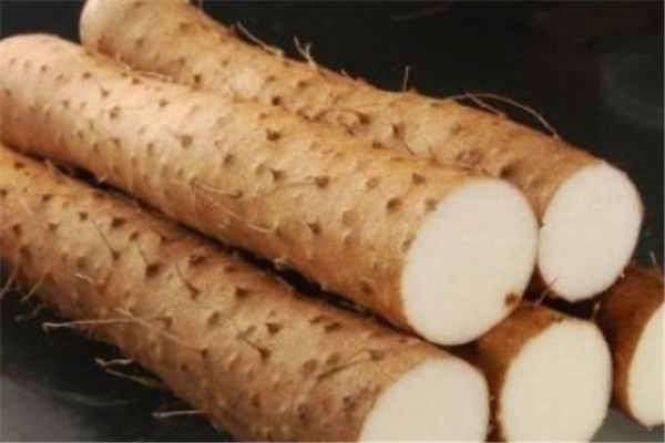 山药种植最佳时间和方法及注意事项 什么季节播种好