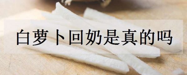 白萝卜回奶是真的吗 哪些蔬菜能回奶