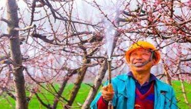 果树病虫害防治中不可或缺的几个环节