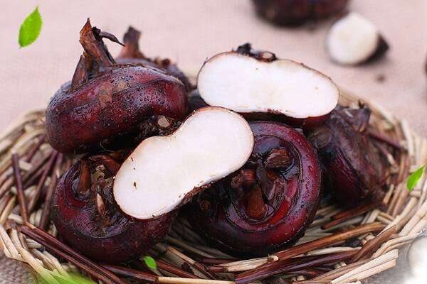 荸荠的功效与作用及营养价值是什么？