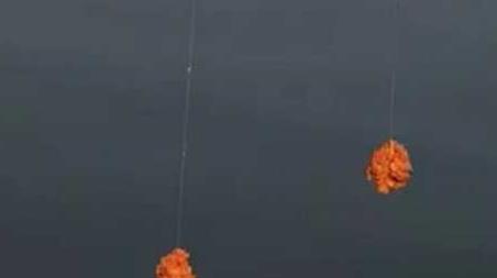 台钓线组搭配有哪些技巧