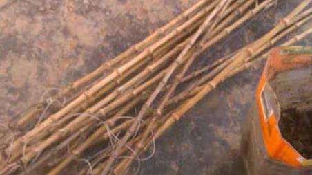 怎样钓黄鳝上鱼快