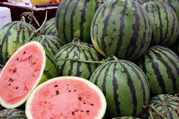 凤瓜和西瓜有什么区别？ 辨别方法有哪些？
