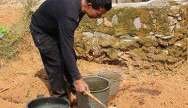 空心菜栽培技术要点