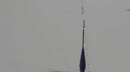 初冬钓鱼什么风向好钓