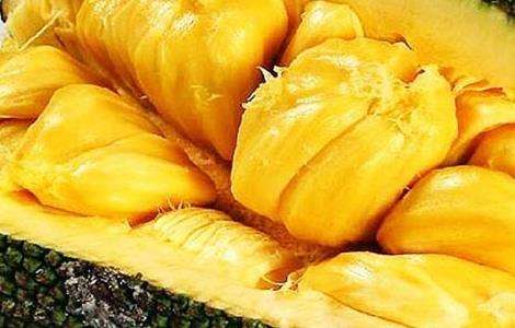 菠萝蜜该怎么种