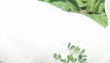 兔病毒性出血症的症状表现与流行特点