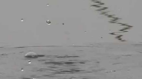 初冬钓鱼什么风向好钓