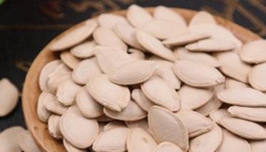 西葫芦的种植技术 西葫芦如何种植