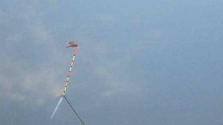 单钩立漂怎么调漂