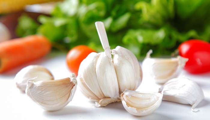 大蒜几月份上市