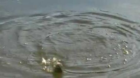 深秋钓鱼刮什么风好钓鱼