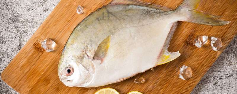 冷水鱼养殖技术