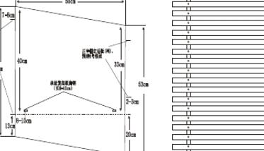 规模化獭兔养殖场设计方案 獭兔的养殖技术