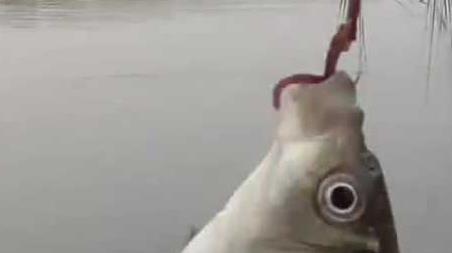 初冬钓鱼什么风向好钓