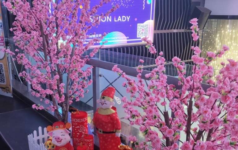 7月份桃树移栽能移活吗 移栽方法是什么？