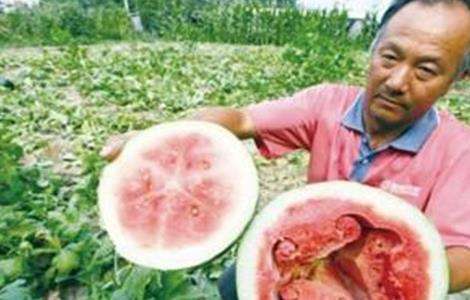 西瓜空心的原因及预防多久？