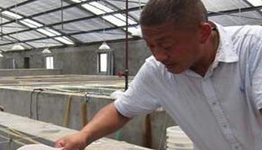 虾苗淡化方法的关键：虾苗淡化水质怎么调节