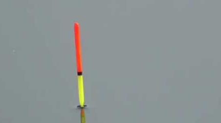 四月钓鱼的技巧及多久？