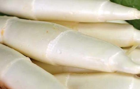 茭白是什么东西?