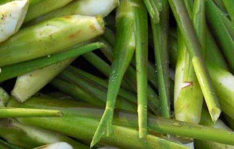 茭白的储藏多久？