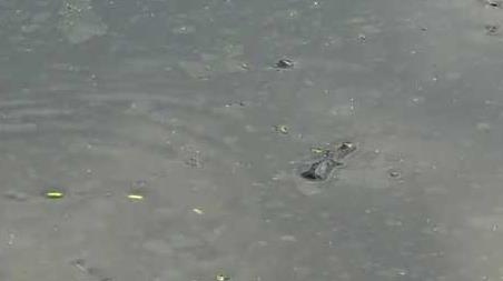 深秋钓鱼刮什么风好钓鱼