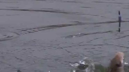 冬季钓鱼下雨天能钓鱼吗？