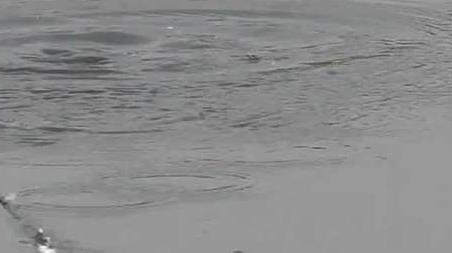 四月钓鱼的技巧及多久？