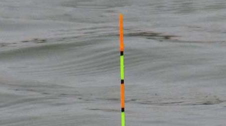 鲫鱼吃口漂相是什么样的