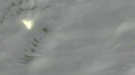 初秋下雨天气钓鱼好钓吗？