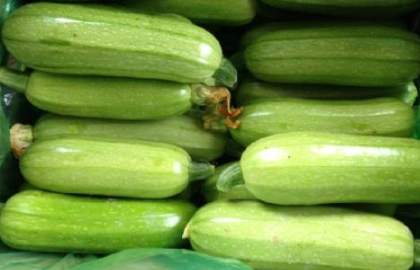 大棚西葫芦的管理技术 西葫芦养殖多久？