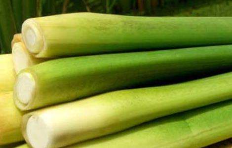茭白的储藏多久？