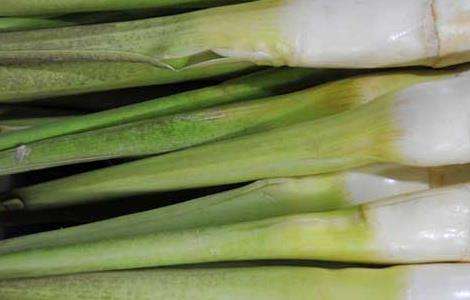 茭白的储藏多久？