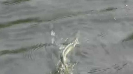 初秋下雨天气钓鱼好钓吗？