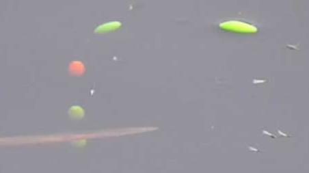 七星漂如何判断鱼上钩了