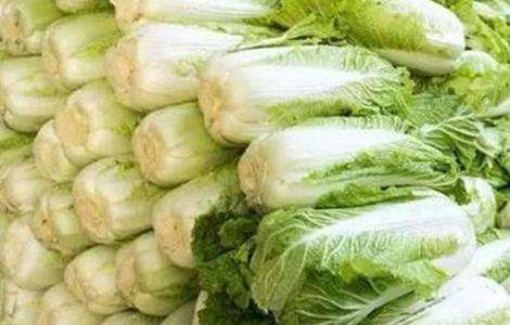 大白菜储存注意事项